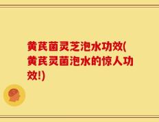 黄芪菌灵芝泡水功效(黄芪灵菌泡水的惊人功效!)