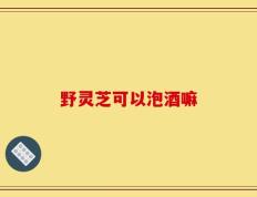 野灵芝可以泡酒嘛
