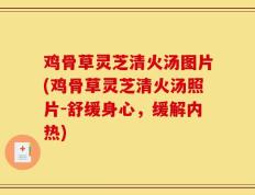 鸡骨草灵芝清火汤图片(鸡骨草灵芝清火汤照片-舒缓身心，缓解内热)