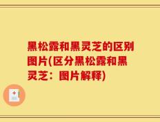 黑松露和黑灵芝的区别图片(区分黑松露和黑灵芝：图片解释)