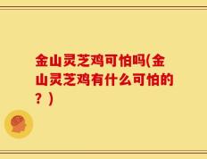 金山灵芝鸡可怕吗(金山灵芝鸡有什么可怕的？)