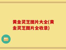 黄金灵芝图片大全(黄金灵芝图片全收录)