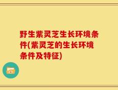 野生紫灵芝生长环境条件(紫灵芝的生长环境条件及特征)