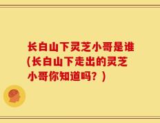 长白山下灵芝小哥是谁(长白山下走出的灵芝小哥你知道吗？)