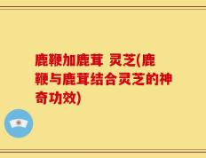 鹿鞭加鹿茸 灵芝(鹿鞭与鹿茸结合灵芝的神奇功效)