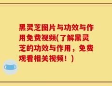 黑灵芝图片与功效与作用免费视频(了解黑灵芝的功效与作用，免费观看相关视频！)