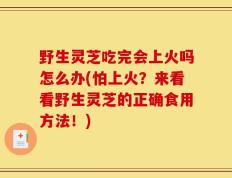 野生灵芝吃完会上火吗怎么办(怕上火？来看看野生灵芝的正确食用方法！)