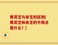 黄灵芝与赤芝的区别(黄灵芝和赤芝的不同点是什么？)