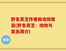 野生灵芝作用和功效禁忌(野生灵芝：功效与禁忌简介)
