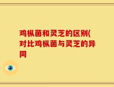 鸡枞菌和灵芝的区别(对比鸡枞菌与灵芝的异同