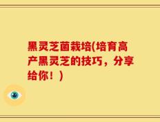 黑灵芝菌栽培(培育高产黑灵芝的技巧，分享给你！)