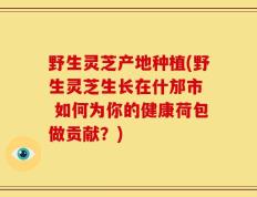 野生灵芝产地种植(野生灵芝生长在什邡市  如何为你的健康荷包做贡献？)