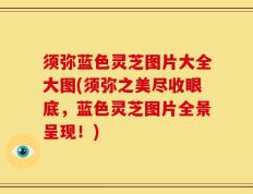 须弥蓝色灵芝图片大全大图(须弥之美尽收眼底，蓝色灵芝图片全景呈现！)