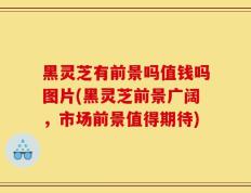 黑灵芝有前景吗值钱吗图片(黑灵芝前景广阔，市场前景值得期待)