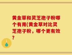 黄金草和灵芝孢子粉哪个有用(黄金草对比灵芝孢子粉，哪个更有效？