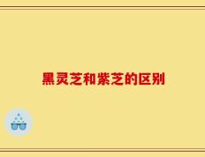黑灵芝和紫芝的区别