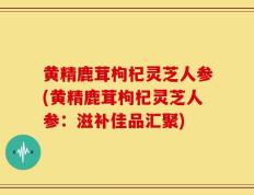 黄精鹿茸枸杞灵芝人参(黄精鹿茸枸杞灵芝人参：滋补佳品汇聚)