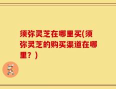 须弥灵芝在哪里买(须弥灵芝的购买渠道在哪里？)
