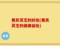 黄芪灵芝的好处(黄芪灵芝的健康益处)