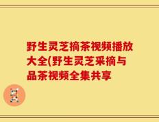 野生灵芝摘茶视频播放大全(野生灵芝采摘与品茶视频全集共享
