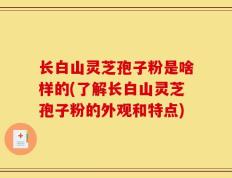 长白山灵芝孢子粉是啥样的(了解长白山灵芝孢子粉的外观和特点)