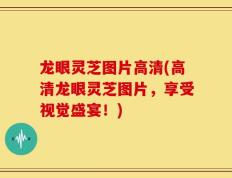 龙眼灵芝图片高清(高清龙眼灵芝图片，享受视觉盛宴！)