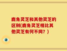 鹿角灵芝和其他灵芝的区别(鹿角灵芝相比其他灵芝有何不同？)