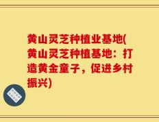 黄山灵芝种植业基地(黄山灵芝种植基地：打造黄金童子，促进乡村振兴)