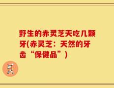 野生的赤灵芝天吃几颗牙(赤灵芝：天然的牙齿“保健品”)