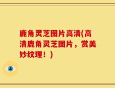 鹿角灵芝图片高清(高清鹿角灵芝图片，赏美妙纹理！)