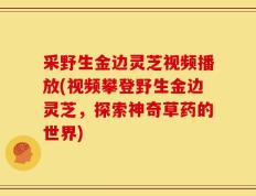 采野生金边灵芝视频播放(视频攀登野生金边灵芝，探索神奇草药的世界)