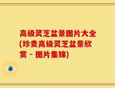 高级灵芝盆景图片大全(珍贵高级灵芝盆景欣赏 - 图片集锦)