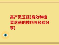 高产灵芝菇(高效种植灵芝菇的技巧与经验分享)