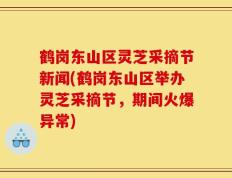 鹤岗东山区灵芝采摘节新闻(鹤岗东山区举办灵芝采摘节，期间火爆异常)