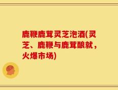 鹿鞭鹿茸灵芝泡酒(灵芝、鹿鞭与鹿茸酿就，火爆市场)