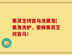 黑灵芝何首乌洗黑发(黑发洗护，尝鲜黑灵芝何首乌！