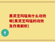 黑灵芝玛瑙有什么功效呢(黑灵芝玛瑙的功效及作用解析)
