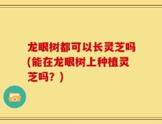 龙眼树都可以长灵芝吗(能在龙眼树上种植灵芝吗？)