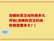 龙眼树灵芝成熟期多久开始(龙眼树灵芝的成熟期需要多久？)