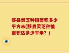 黟县灵芝种植面积多少平方米(黟县灵芝种植面积达多少平米？)