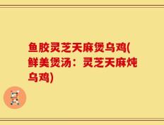 鱼胶灵芝天麻煲乌鸡(鲜美煲汤：灵芝天麻炖乌鸡)