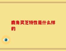鹿角灵芝特性是什么样的