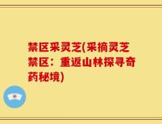 禁区采灵芝(采摘灵芝禁区：重返山林探寻奇药秘境)