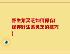 野生紫灵芝如何保存(保存野生紫灵芝的技巧)