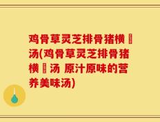 鸡骨草灵芝排骨猪横脷汤(鸡骨草灵芝排骨猪横脷汤 原汁原味的营养美味汤)