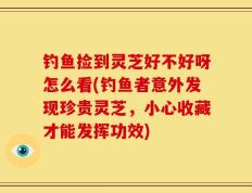 钓鱼捡到灵芝好不好呀怎么看(钓鱼者意外发现珍贵灵芝，小心收藏才能发挥功效)