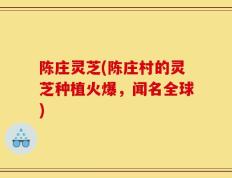 陈庄灵芝(陈庄村的灵芝种植火爆，闻名全球)