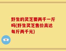 野生的灵芝要两千一斤吗(野生灵芝售价高达每斤两千元)