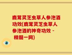 鹿茸灵芝虫草人参泡酒功效(鹿茸灵芝虫草人参泡酒的神奇功效 - 精髓一网)