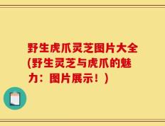 野生虎爪灵芝图片大全(野生灵芝与虎爪的魅力：图片展示！)